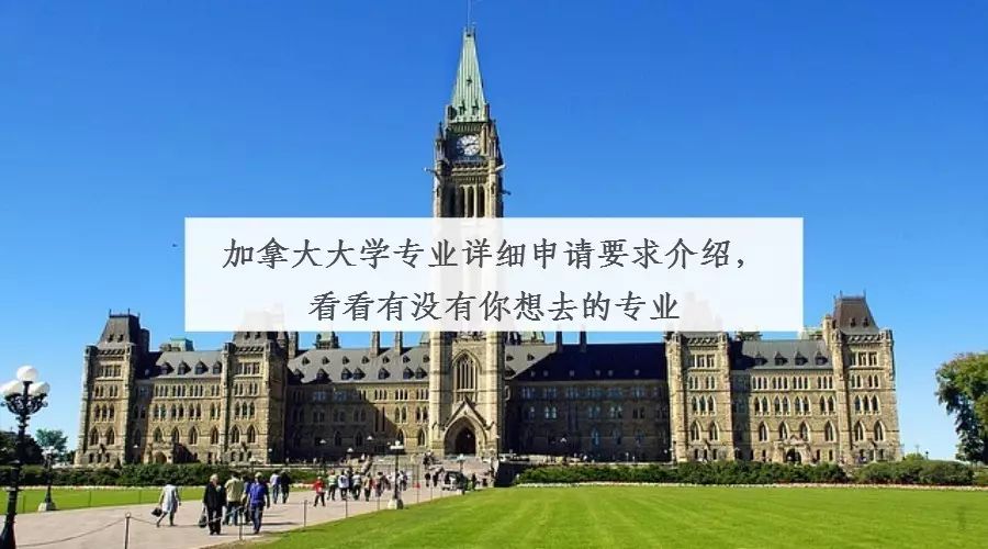 加拿大大学专业申请要求详解：探索你心仪的专业路径