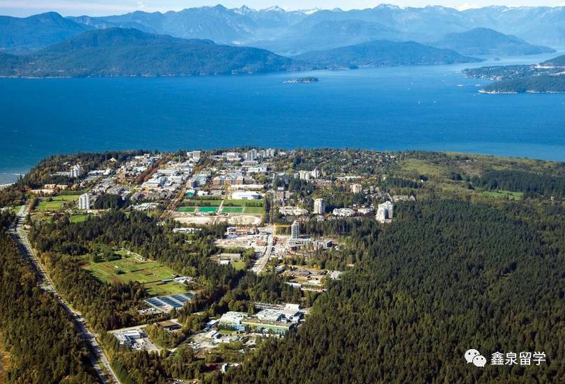 加拿大大学专业申请要求详解：探索你心仪的专业路径