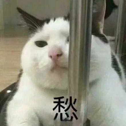 留学生防骗指南：身处异国如何应对今年特别多的骗子
