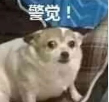 留学生防骗指南：身处异国如何应对今年特别多的骗子