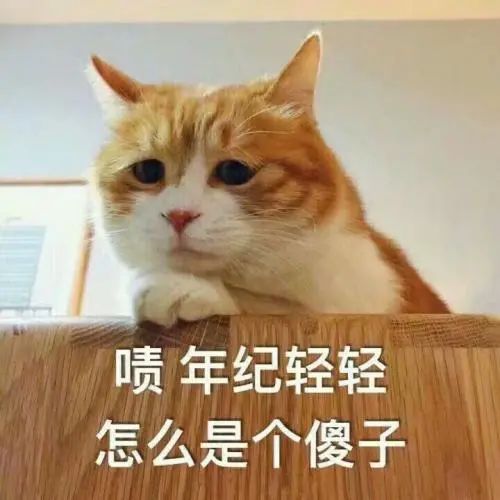 留学生防骗指南：身处异国如何应对今年特别多的骗子