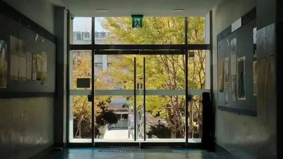 韩国留学必备：史上最全韩国行前指导锦囊，助你顺利开启留学之旅