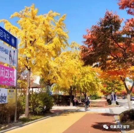 韩国忠南国立大学留学性价比高，费用低教育质量优
