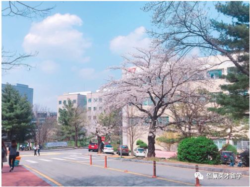 韩国忠南国立大学留学性价比高，费用低教育质量优
