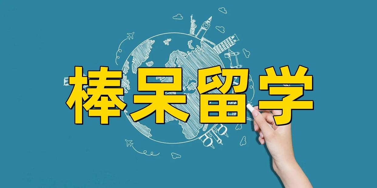 清柚留学评测：美国本科留学排名机构详细分析与评价